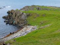Küstenstreifen mit Felsen und Treibholz am Bjarnarfjörður